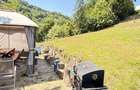 Valea Rosie, teren intravilan 3434mp, langa padure. - 8