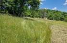 Teren de vanzare 2.000 mp, Comarnic, Prahova - 7