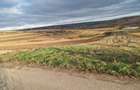 Vand teren zona Rediu Stauceni