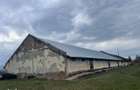 Hala de vanzare - 18246 mp, acces pietruit - 4