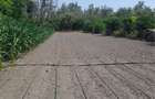 Teren intravilan 924 mp de vanzare in Afumati, Ilfov - 2