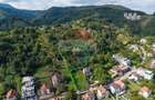 COMISION 0% | TEREN 2.969 MP CU POTENȚIAL | DUPĂ INIȘTE | BRAȘOV - 1