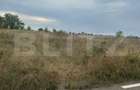 Teren intravilan/extravilan, 1500 mp, Cazaci - 5