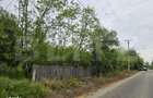 Domeniu polivalent, ideal pentru 2 familii / afacere, 300 mp, zona Sud - 10