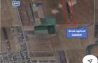 Teren extravilan de vanzare in Sanandrei - 1
