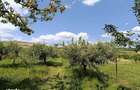 Apartament cu 2 camere în Calea Aradului - 4