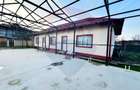 Casa Noua, Mobilata,Pod si Structura pentru Hala,Piscina-Sat Progresul - 6
