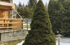 Busteni ,Casa ta de vacanta -Piatra Arsa . - 15