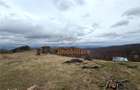 TEREN 34.000 MP | SERANI BIHOR - 6
