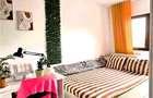 Apartament 1 camera Lunca Cetatuii, Astoria, parcare
