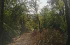 Teren intravilan de 1.470 mp cu padure in spate si priveliste spre vale, la 1h30 de Bucuresti - 2