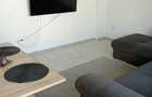 Apartament open space 3 cam - 2
