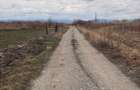 Teren 11.700 mp de vanzare Harman, Brasov | langa DN11 - 2