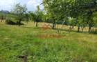 Teren intravilan in Campina, 1490mp--26.820e