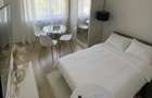 Apartament 1 camera, complet renovat Str. Dambovitei, Marasti - 1