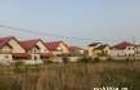 Teren intravilan 582mp,Putul Olteni Fortului,Clinceni - 3