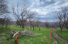 Teren 4.400 mp Comarnic | lini?te, priveli?te ?i intimitate! [ 16 NEGOCIABIL ] - 6