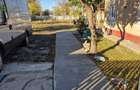 Casa 3 cam.Scortaru Nou - 8