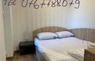 studio modern consul brazda de inchiriat - 5