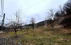 Teren intravilan 3.709 mp, Strem? - 2