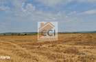 Teren intravilan 50.000 mp, Bacau, ?oseaua Hol - 4