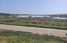 Teren 2.300 mp pe malul bal?ii + casa | Rasmire?ti, Teleorman | Dubla deschidere, curent, pu?, acte - 6