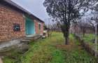 Vand casa in serbia jasa tomic - 8