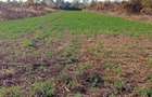 Vind teren extravilan teren agricol - 2