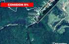 OCAZIE | 5755 mp PĂDURE matura in Stolna | Utilități 200m | Front 17m la drum | - 2