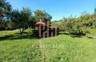 Casa Rohia ,ideala locuit sau pensiune ,zona turistica,45 ari - 4