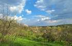 Mosia boiereasca din varf de deal, Scorteni - Prahova! - 12