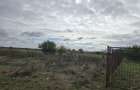 Comuna Amzacea- sat G.Scari?oreanu -Ferma zootehnica , teren 5,1ha - 9
