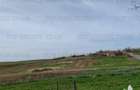 Teren intravilan cu utilitati 4350 mp Pantelimon Jud Constan
