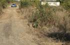 Teren Str. Crinului 486 Mp + 110 Mp Drum, 18,6 M Deschidere, Curent