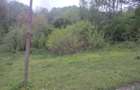 Teren intravilan | Provita de Sus | Breaza | PRAHOVA - 6