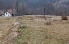 Teren de 10000 mp, în Lepșa
