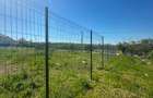 CASĂ BĂTRÂNEASCĂ CU TEREN APROX. 5.000 MP - 6