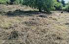 Teren de vanzare com. Aiton - 4