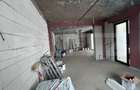 Casa P+M, 232 mp, 732 mp teren, zona Ionumi