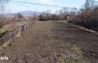 Teren intravilan,front stradal la asfalt,apa,gaz,curent,canalizare. - 4