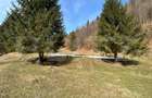 Teren exceptional de vanzare, 5.170 mp - zona Plaiu Foii, Za - 8