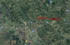 35000 mp teren Viisoara imobil-comercial sau privat - 3