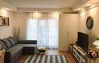 Apartament 2 camere de inchiriat complex Cosmopolis - 3