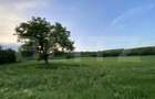 Teren intravilan, 21.450 mp, utilitati, acces autostrada, sa - 2