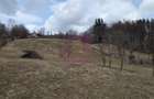 Teren intravilan de vanzare in Valea Doftanei - 7