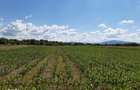 Teren agricol Podu Oltului la limita UAT Harman si UAT Prejmer - 4