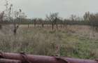 Proprietate de vanzare.Sat Draghicesti com.Sapata jud.Arges - 10