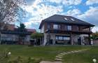 De inchiriat Villa Nikolas by the Lake, Geaca, jud Cluj - 8