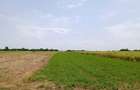Proiect Greenfield, S.216.967mp, P.U.Z.-Hale, Rezidential, Ilfov. - 2
