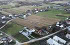 Teren 31 ari de vanzare in Fratautii Noi - 7